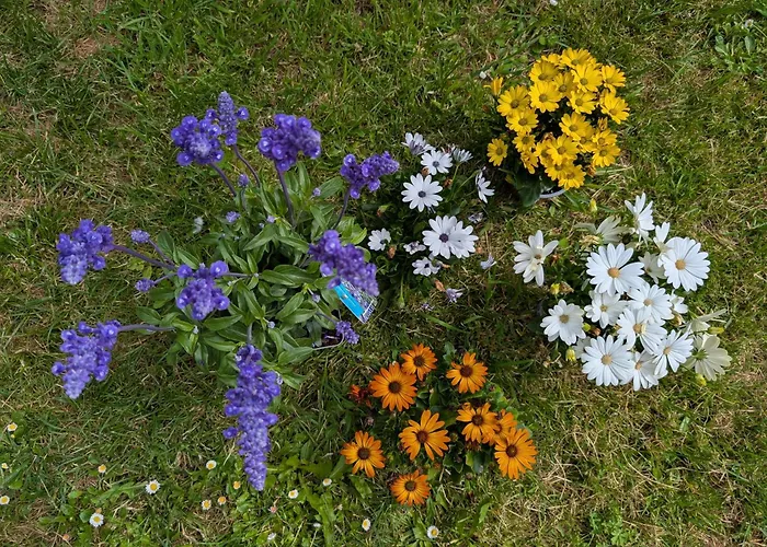 Διαμέρισμα Casa San Pablo *